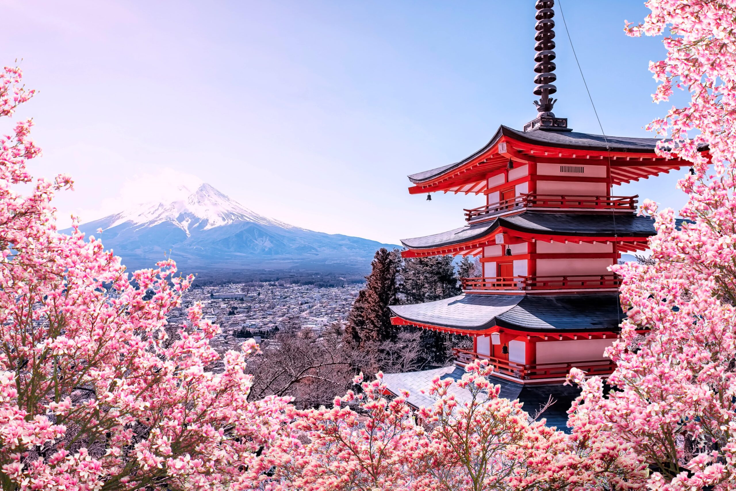 Cherry-Blossoms-Japan-AVG-Travels-scaled